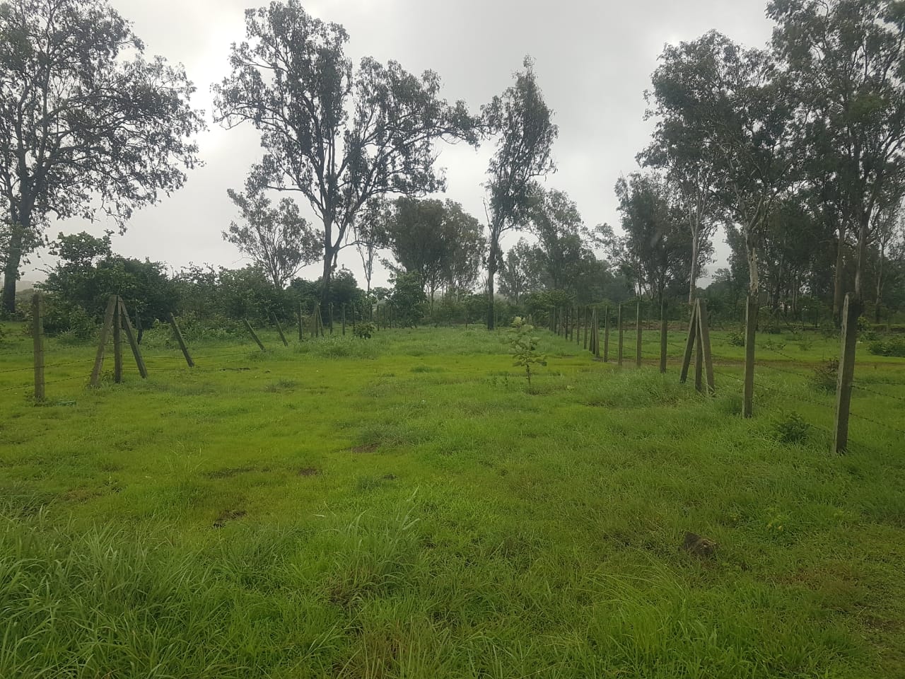 Premium NA Plot In Lonavala (Varsoli) Pune